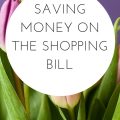 SAVING MONEY ON THE SHOPPING BILL