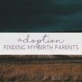 adoption finding my birth parents