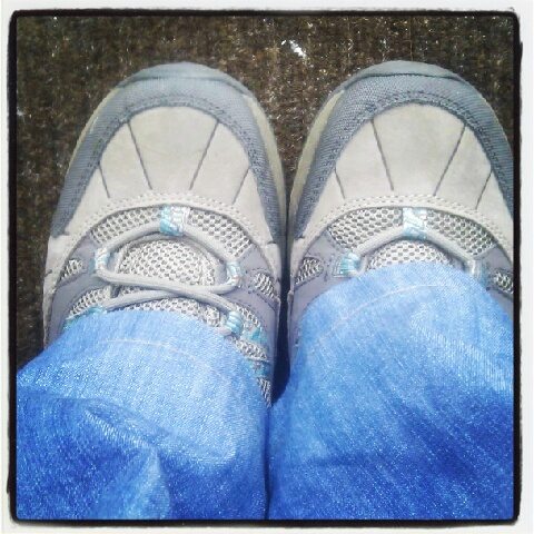 my Hi Techs