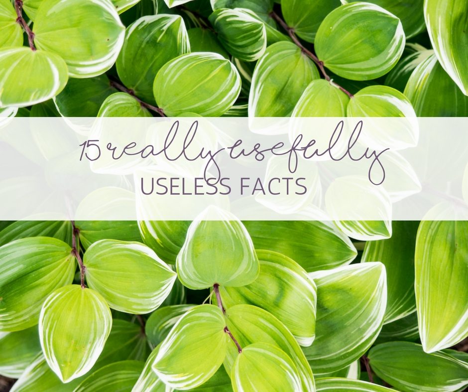 15 REALLY USEFULLY useless fscts