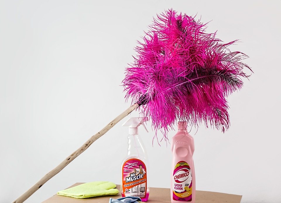 feather duster 709124 960 720