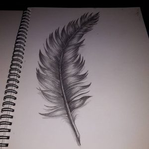 feather drawing