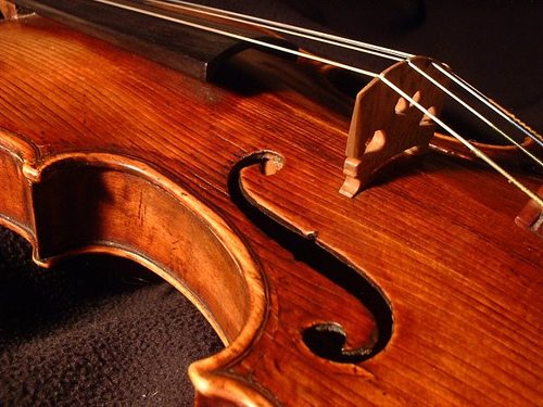 violin