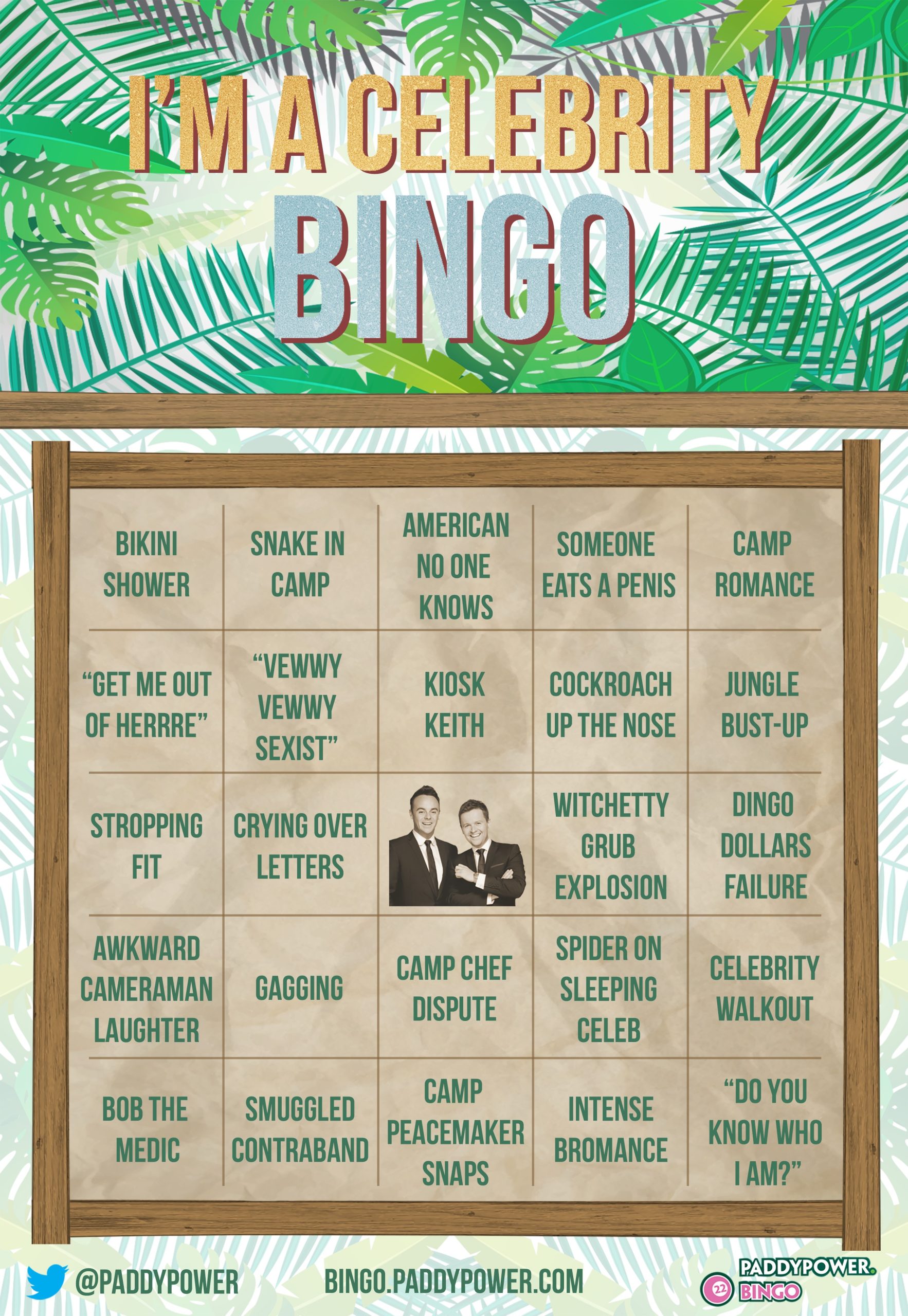 Im A Celeb Bingo Card