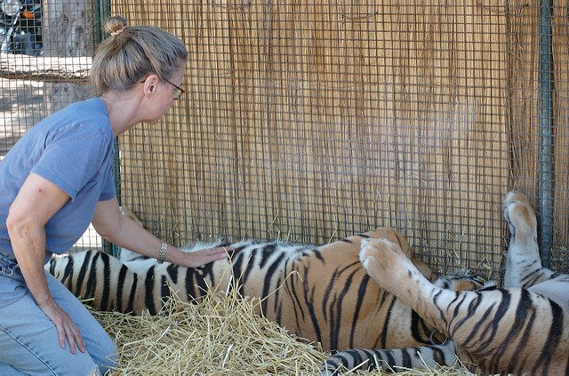 2208777706 c1c561ae4a z