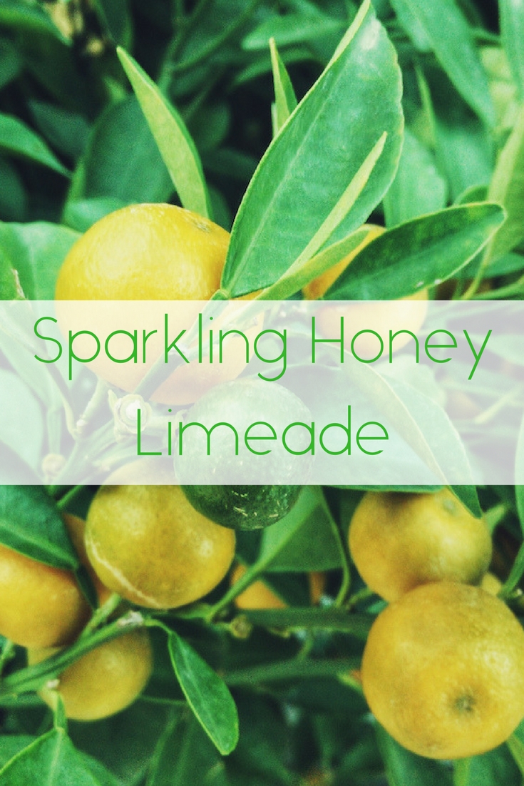 Sparkling Honey Limeade