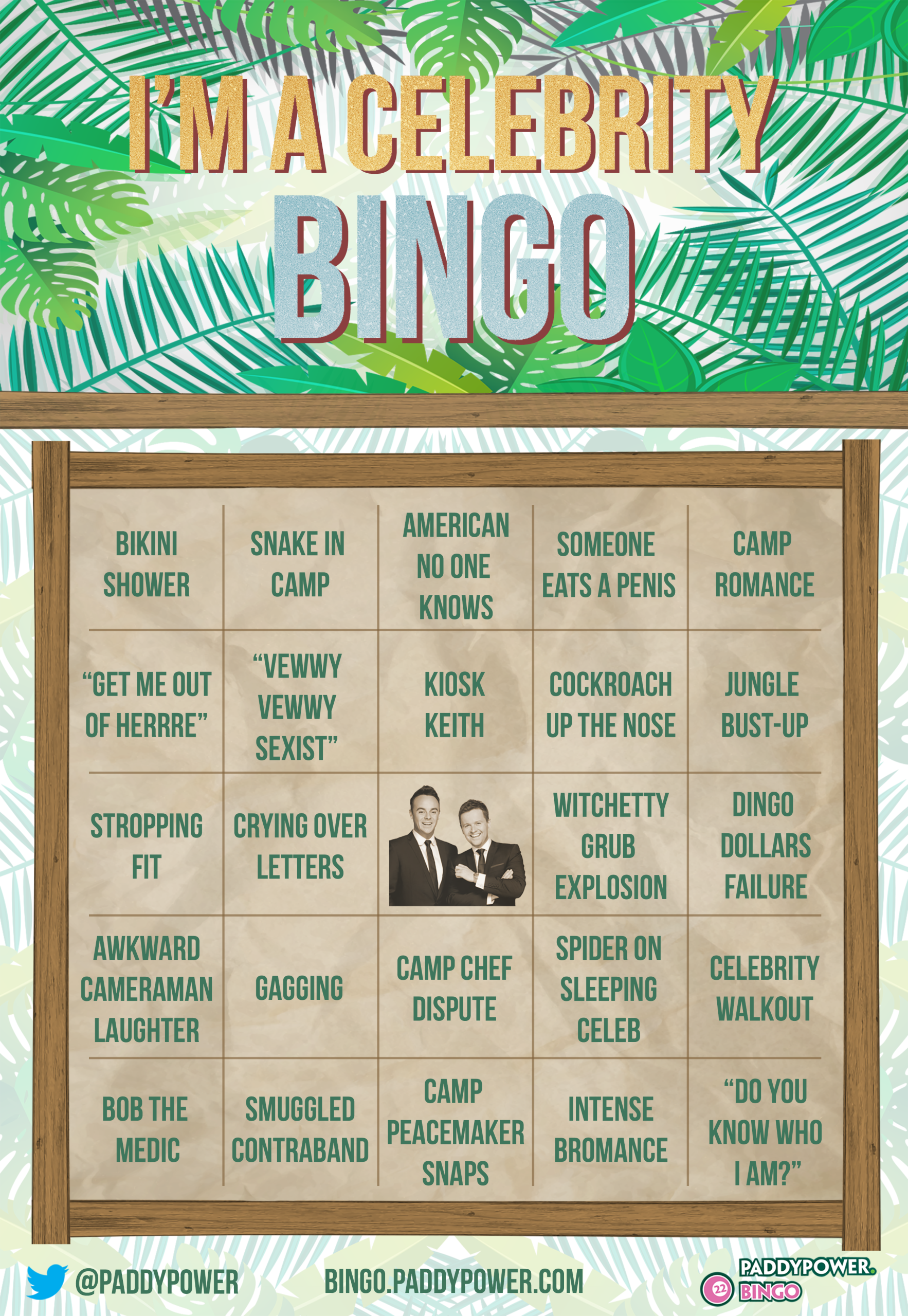 Im A Celeb Bingo Card