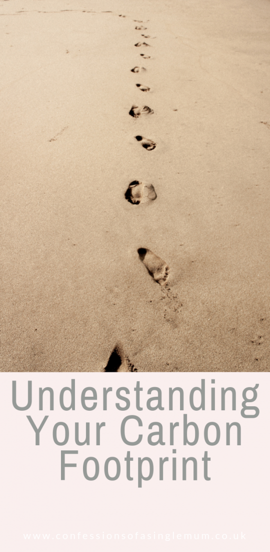 Understanding Your Carbon Footprint Understanding Your Carbon Footprint