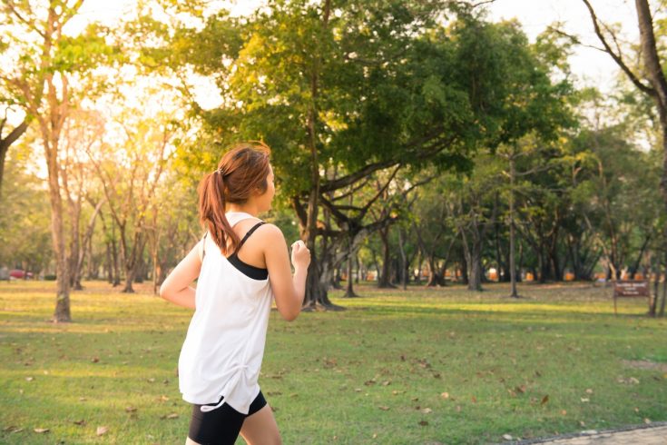 dawn dusk forest grass 347134 running