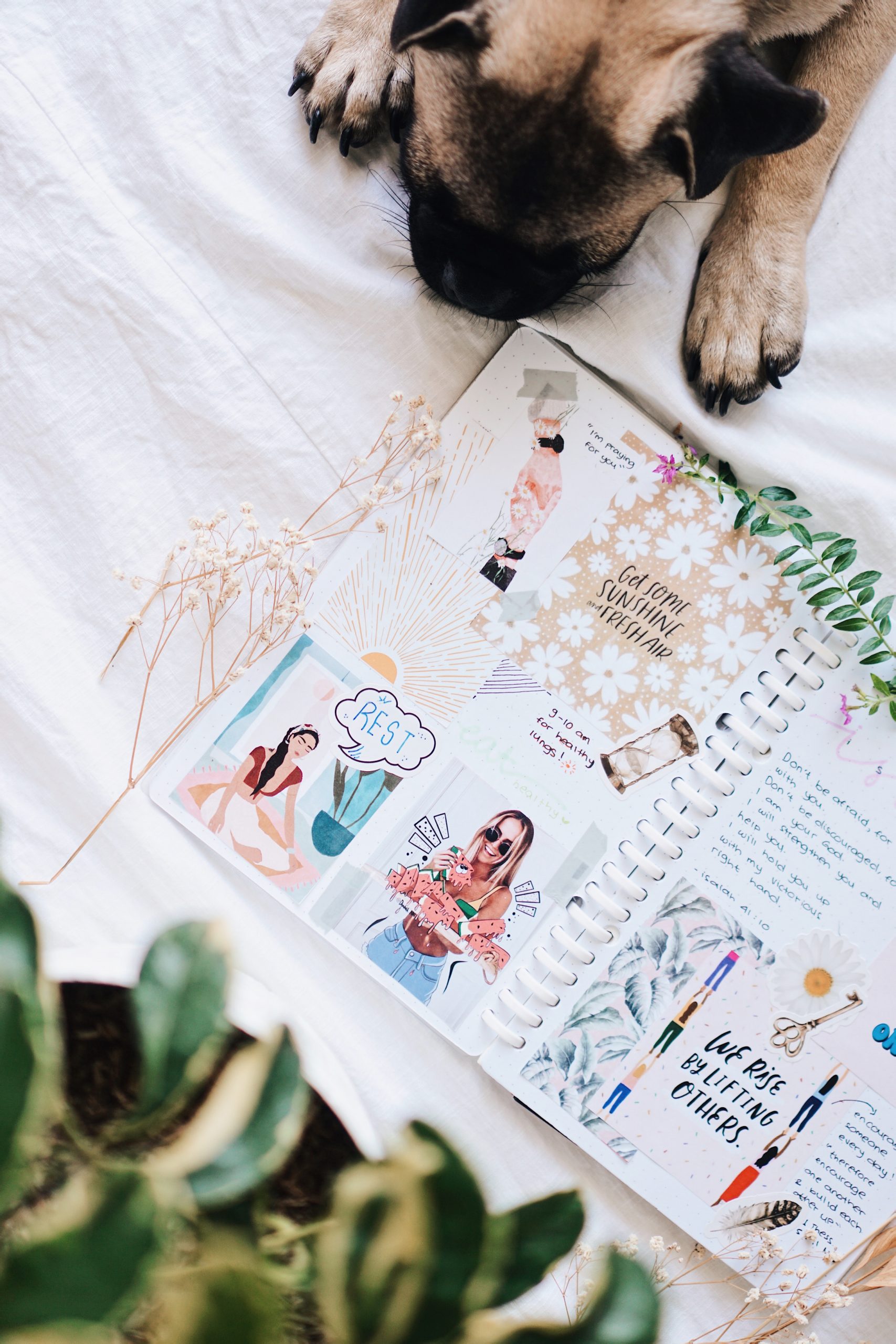 alexandra lammerink tGKjgdwHri0 unsplash
